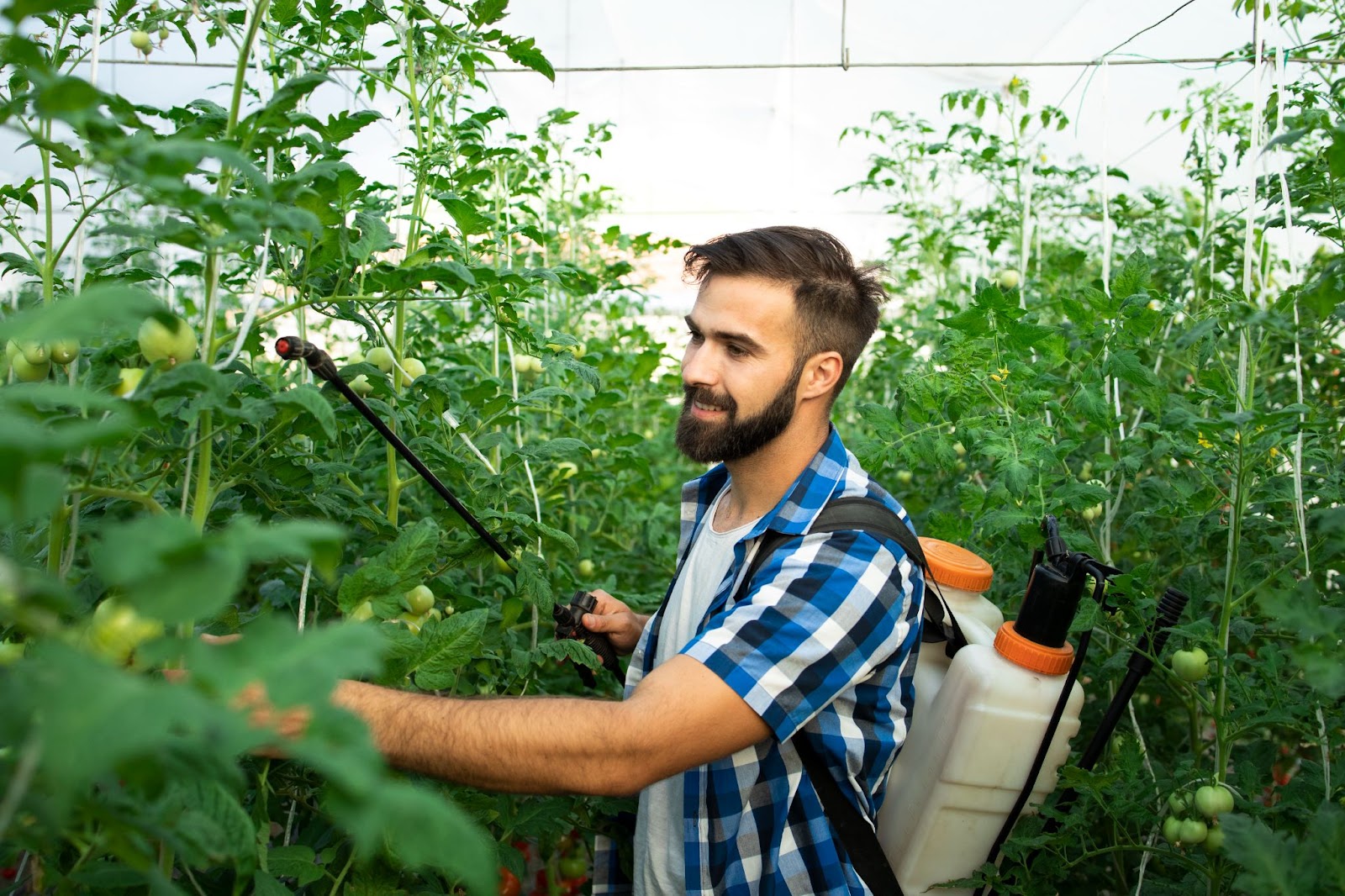Responsabilitate socială în ceea ce privește pesticidele expirate