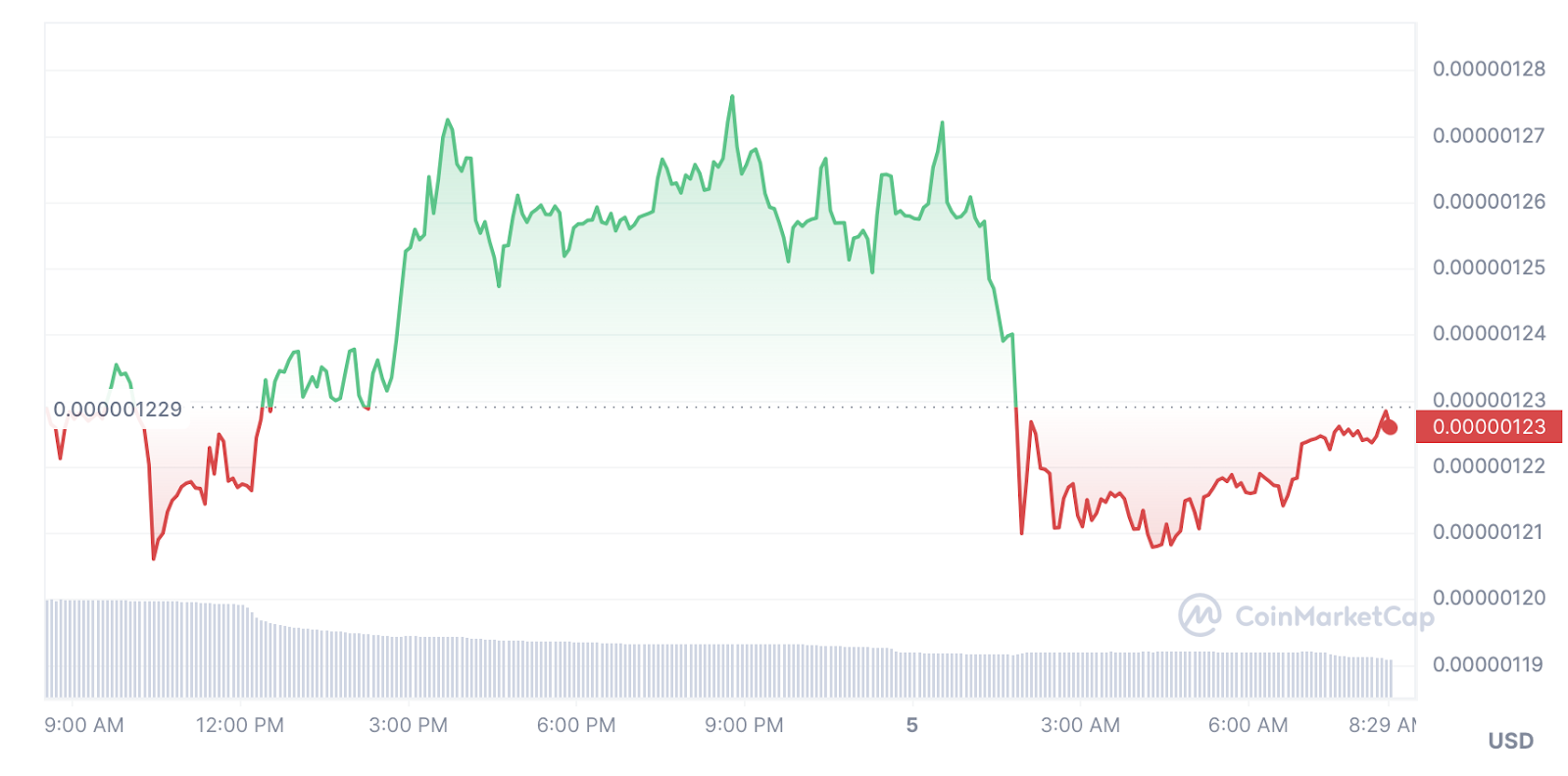 PEPE, BONK fall, investors watching Sponge token - 1