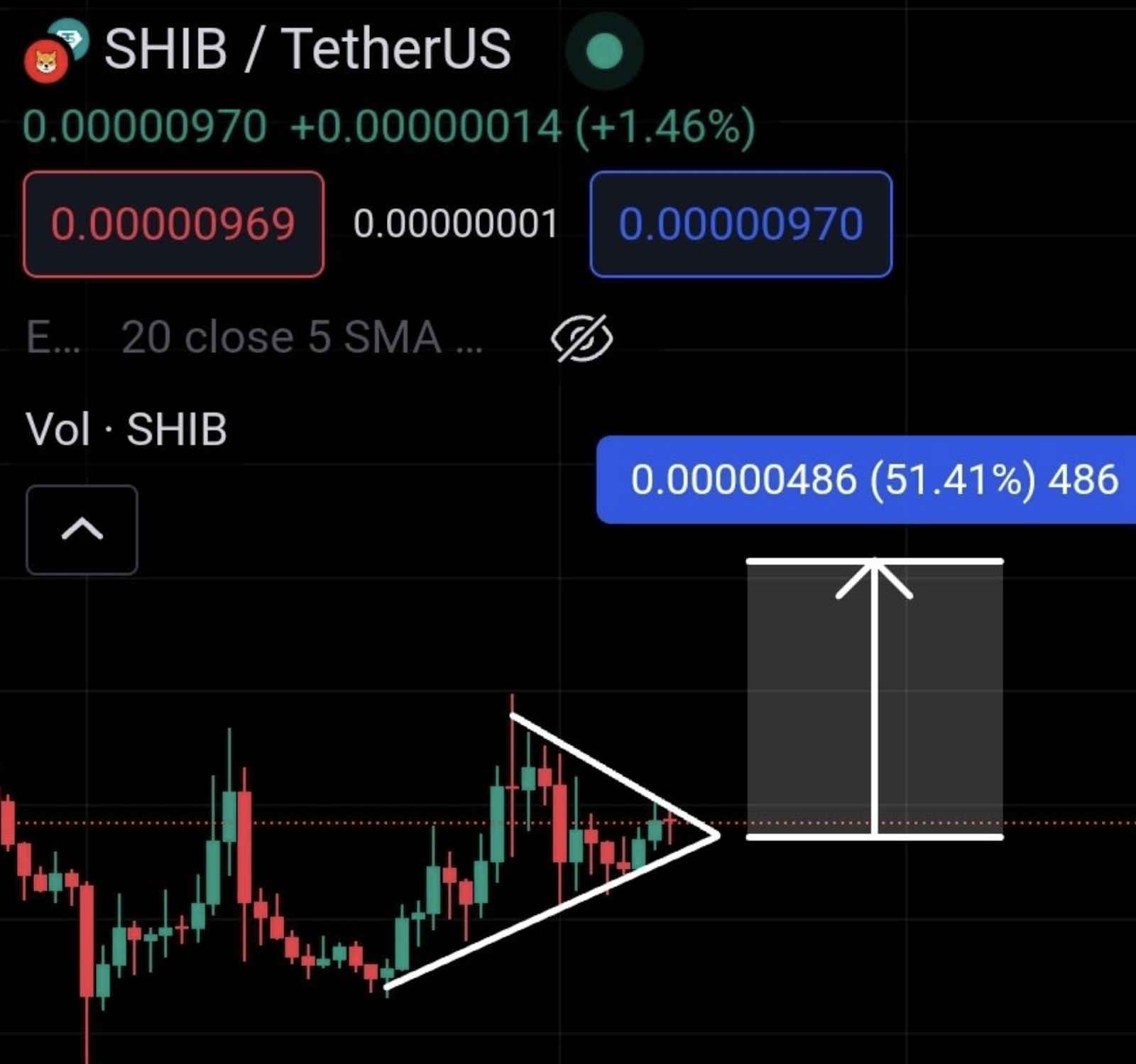 Analyst backs Shiba Inu to rally, traders bullish on new meme coin - 1