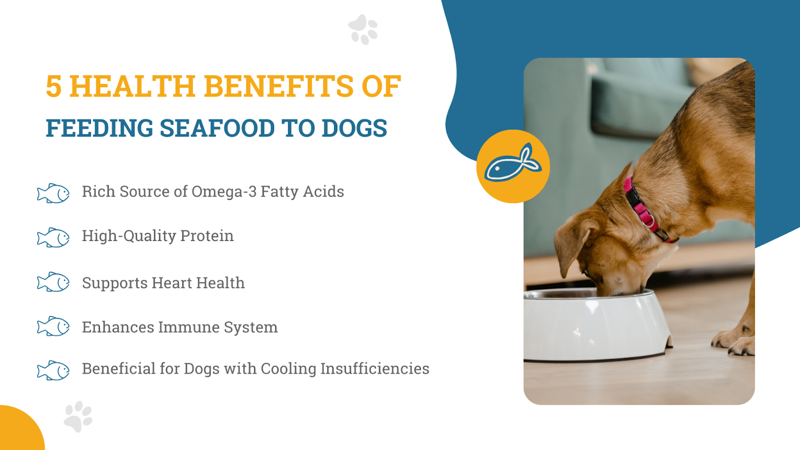 Health benefits of feeding seafood to dogs