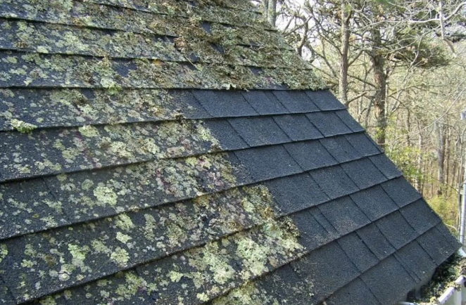 How to Remove Mold From Roof