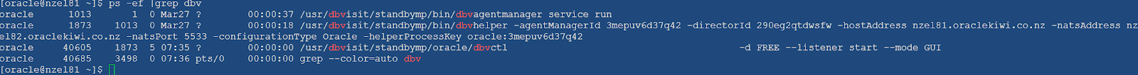 StandbyMP Agent installation went smoothly on the primary server.