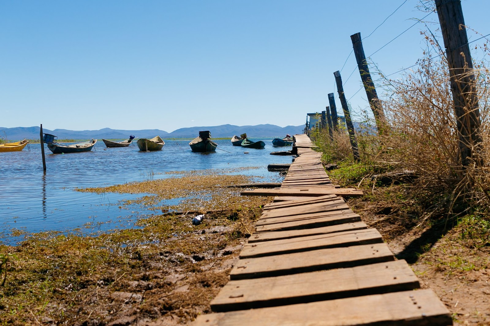 Pequeno caminho de madeira às margens do Rio São Francisco. As águas escuras do rio têm pequenas embarcações coloridas, que estão vazias