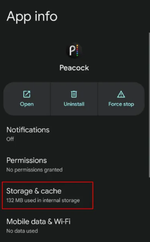 Storage" or "Storage Cache