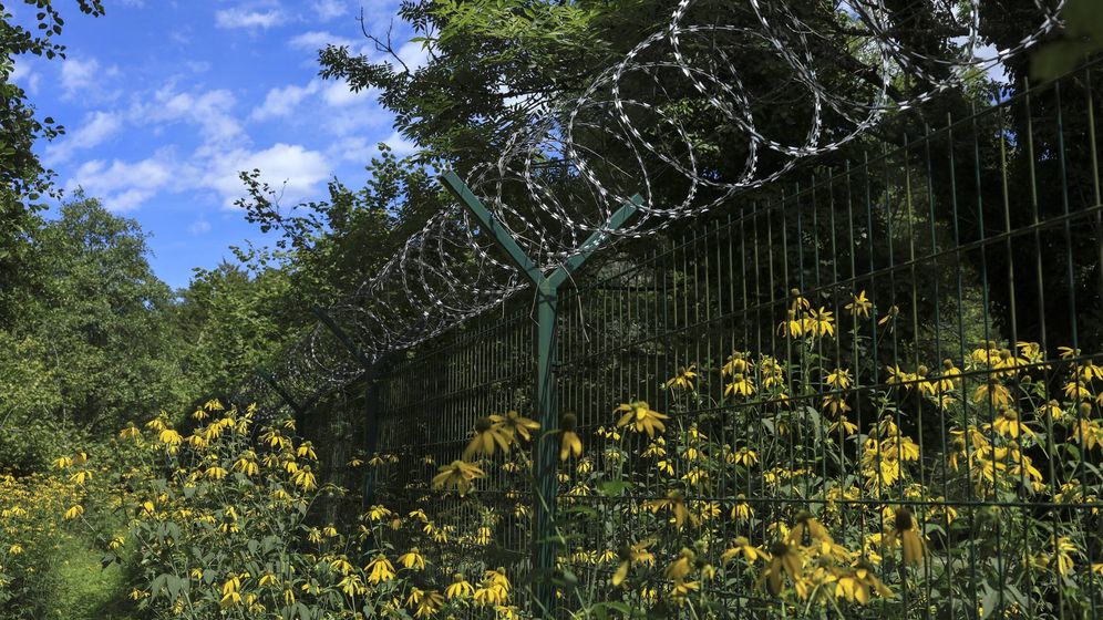 Border fence between Slovenia and Croatia. | Photo: ©Jaka Gasa