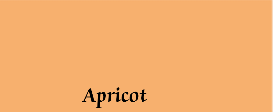 Apricot_ the warm color