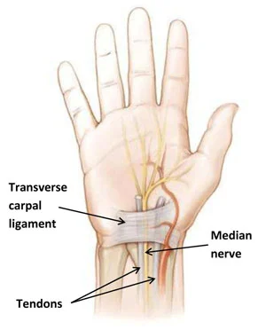 Physical Therapy for Work Injury