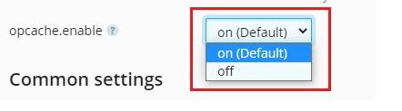 opencache enable