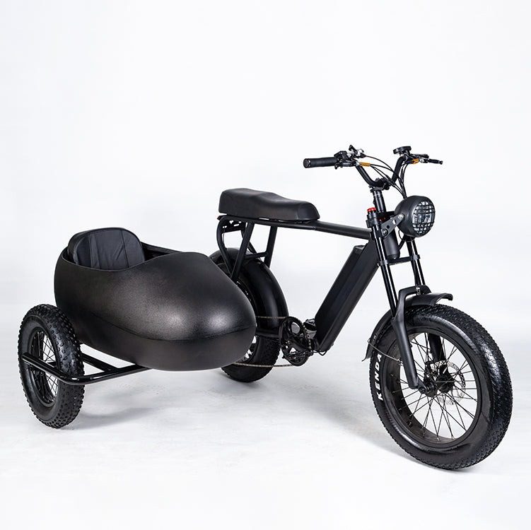 Bike With Sidecar  : Ultimate Adventure Companion