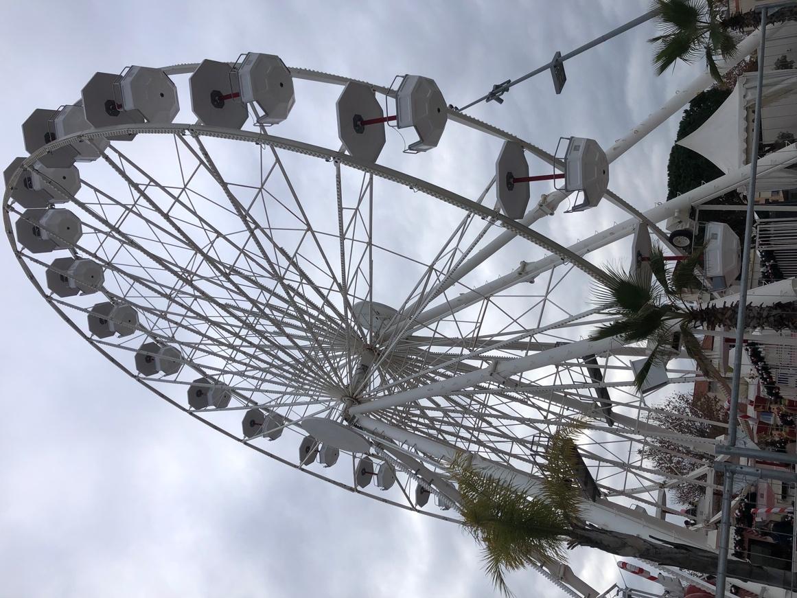 A ferris wheel with trees and a cloudy sky

Description automatically generated