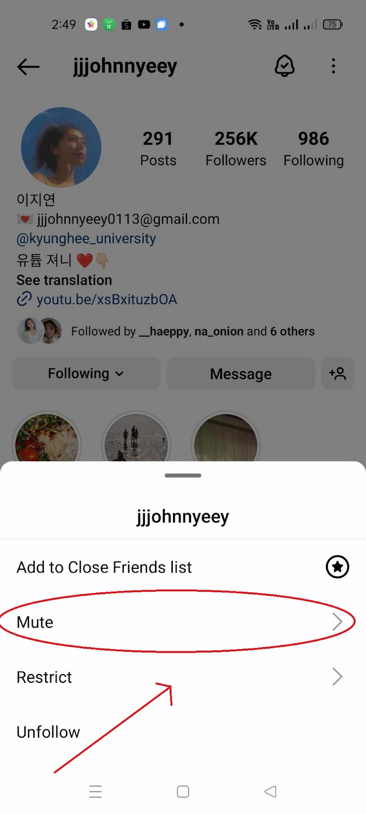 Instagram Notes Not Showing - Mute