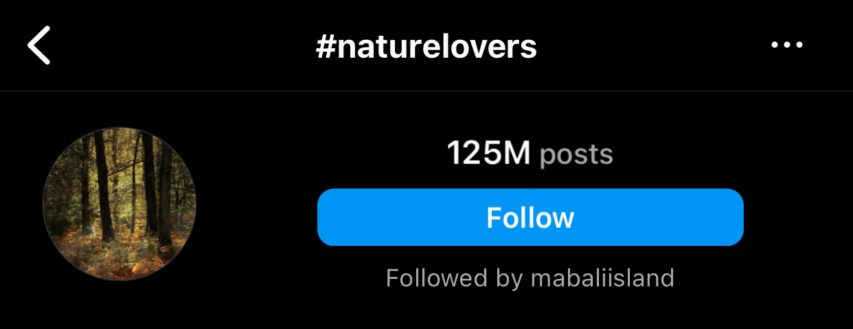 Connecting your content to the beauty of nature with 125 million posts, #naturelovers often resonates with Instagram users. Posts featuring natural landscapes or outdoor scenes can attract likes from those appreciating the beauty of the world.