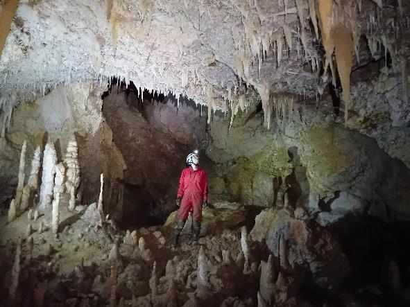 Imagen que contiene cueva, parado, grande, pájaro

Descripción generada automáticamente