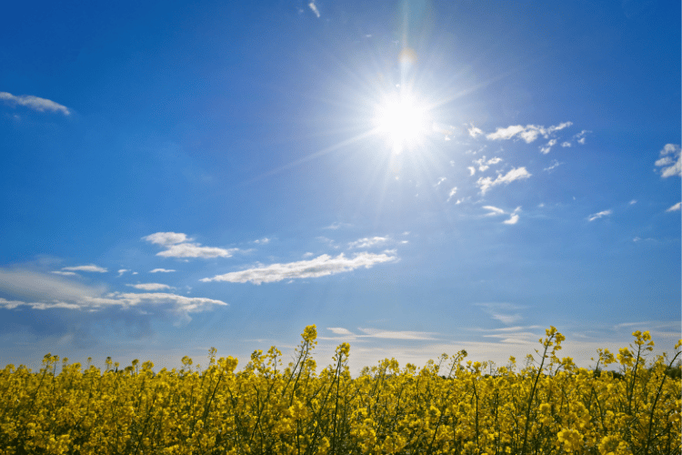 weather-in-central-portugal