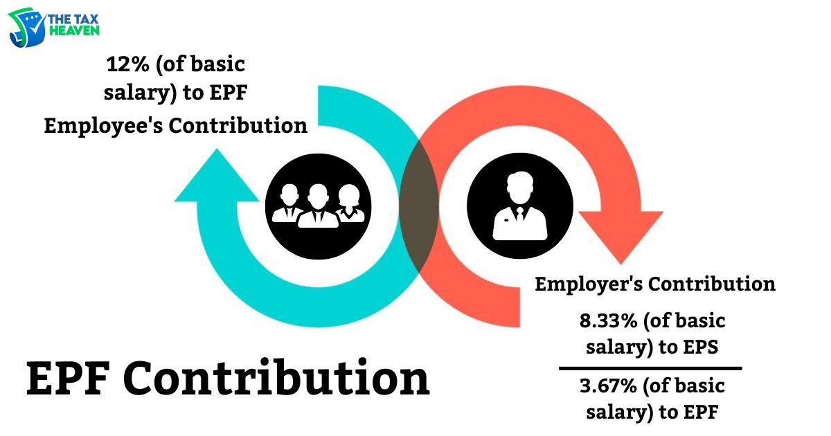 EPF Contribution