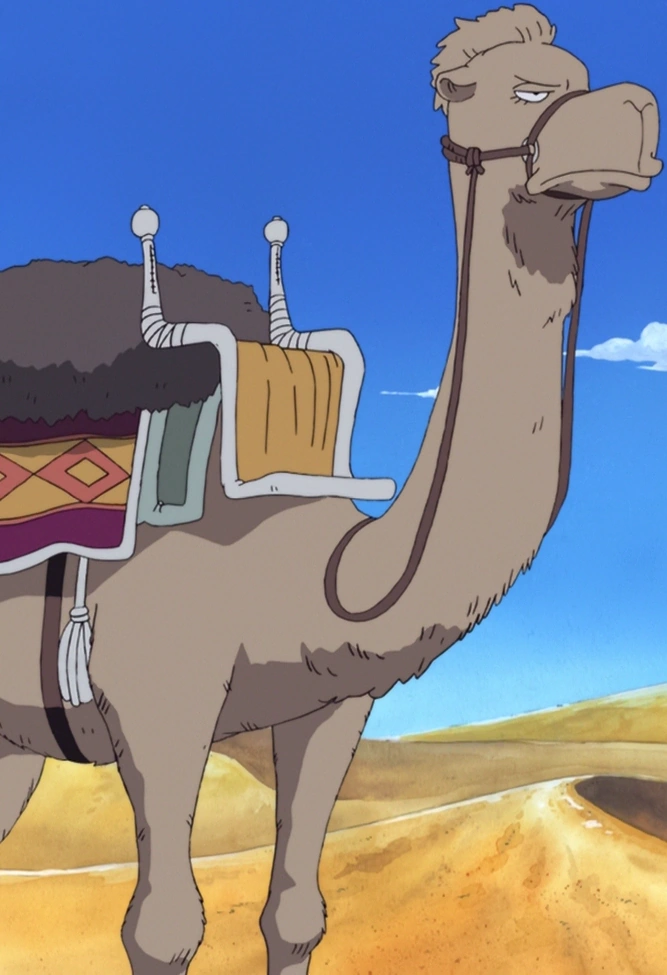 Matsuge in One Piece.