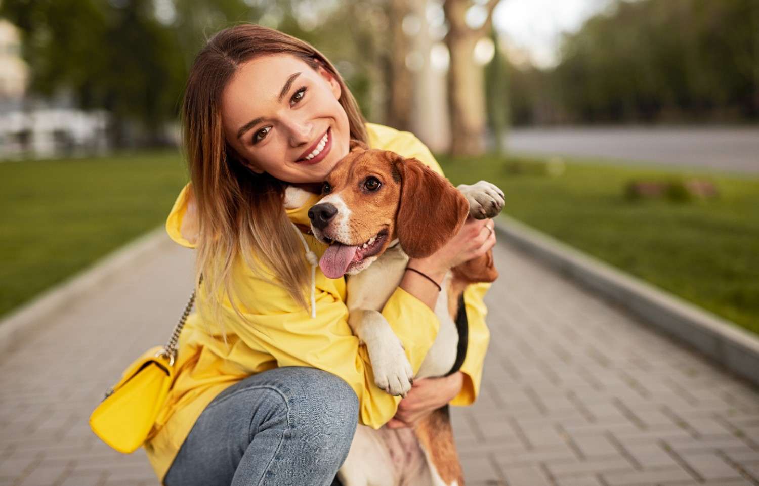 Dog grooming in Chicago 