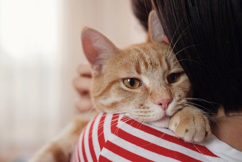 una mujer abraza a su gato