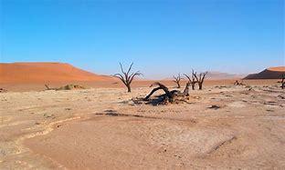 Image result for desert 