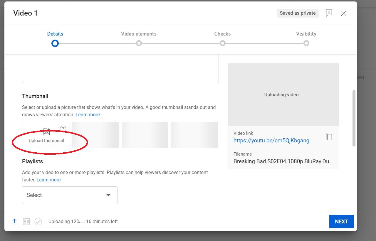 Add a Custom YouTube Thumbnail (Step 3)