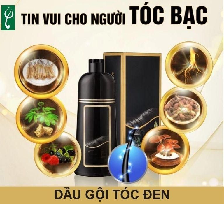 Nam dược Hải Long sử dụng nguyên liệu chất lượng để gia công dầu gội đầu đen tóc