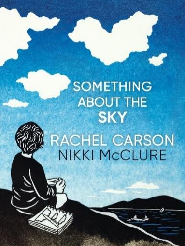 Something about the sky book cover