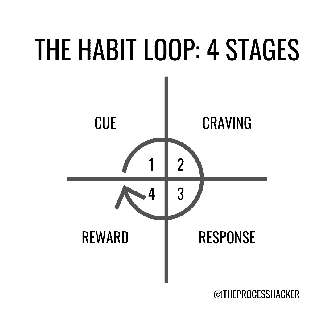 The Habit Loop: 4 Stages