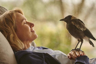 Based on the true story of Samantha Bloom who builds an endearing bond with an injured magpie rescued by her children...