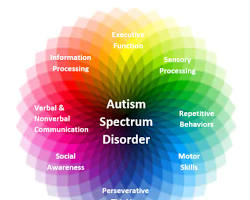 Autism Spectrum Disorder