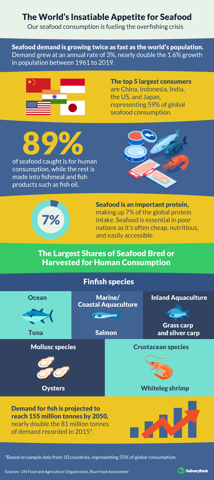 Overfishing: Impacts, Causes, and How You Can Help