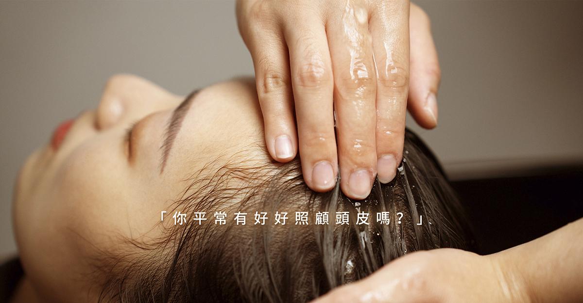 「頭皮出油、頭皮屑、頭皮發炎」如何好好照顧頭皮？了解頭皮養護