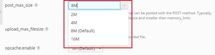 post max size