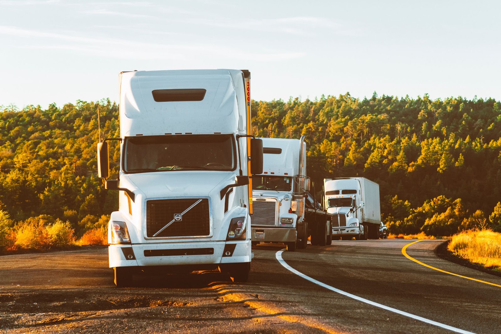 A picture of a semi-truck with its length on display.