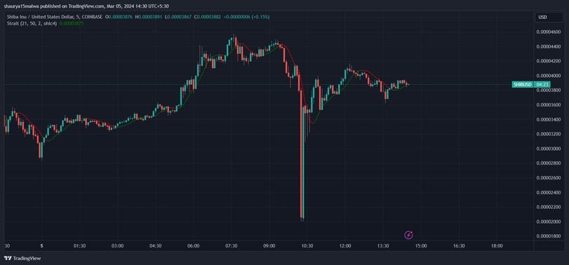 SHIB fell 50%, before quickly recovering, on the Coinbase exchange. (Tradingview)