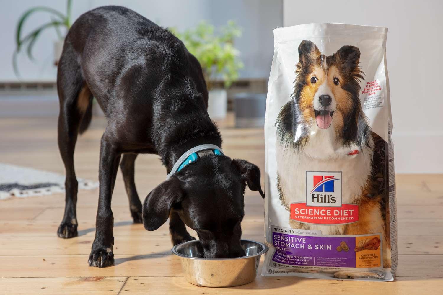 Best Review Dog Foods in 2024: Top Nutrition Picks!