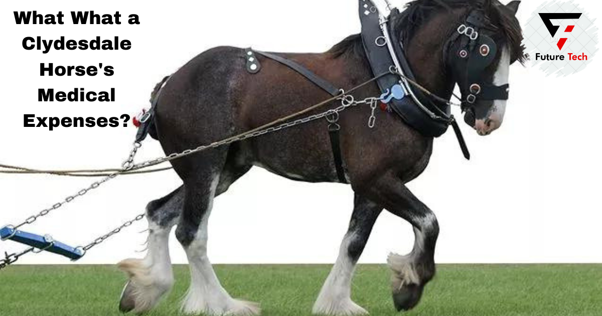 What a Clydesdale Horse's Medical Expenses?
