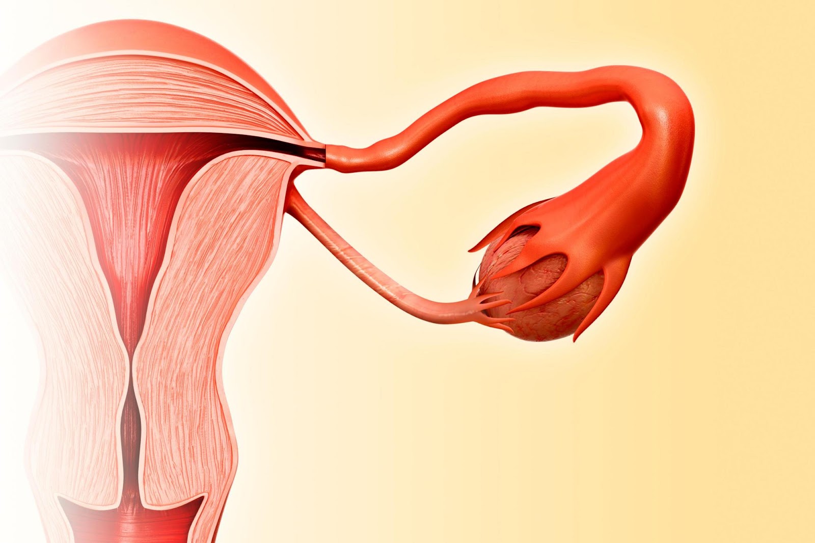Fattori che possono influenzare le probabilità di rimanere incinta al di fuori dell'ovulazione