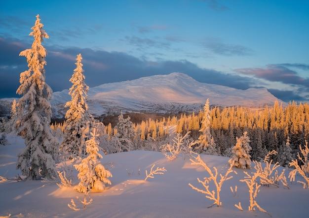 Free photo beautiful winter landscape view during sunset
