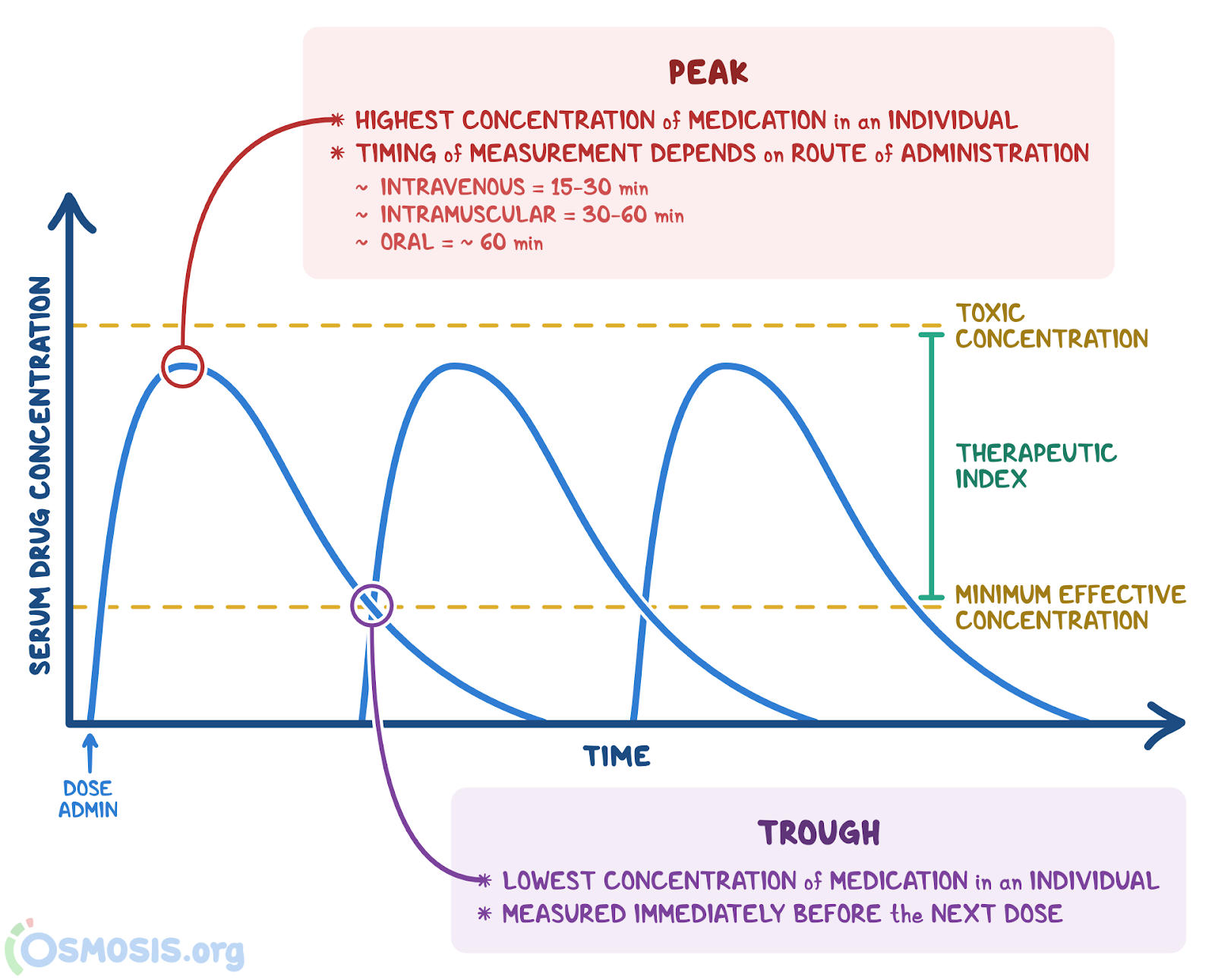 Peaks and Troughs: What Are They, and More | Osmosis