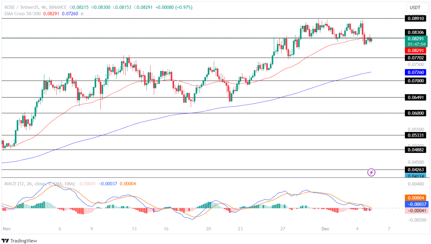 Oasis Network Price Analysis