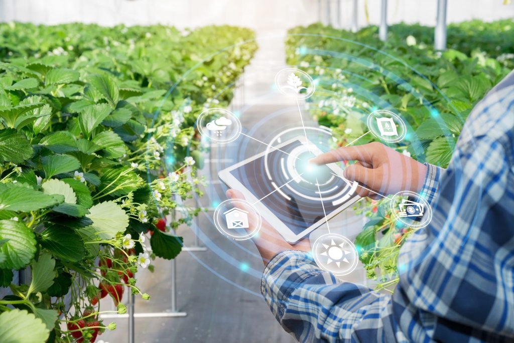 An abstract image of a person using farm management software on a tablet within a greenhouse