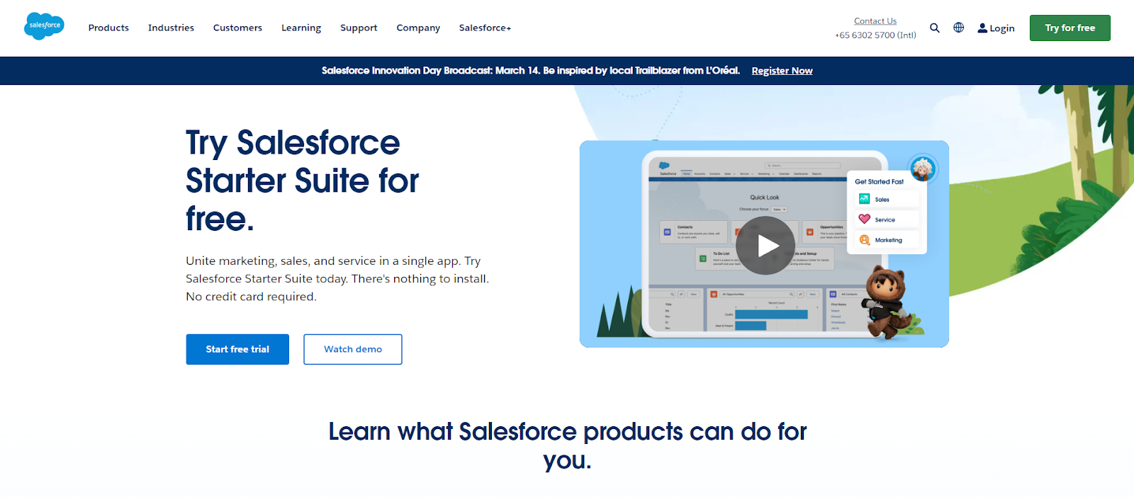 sales force crm 