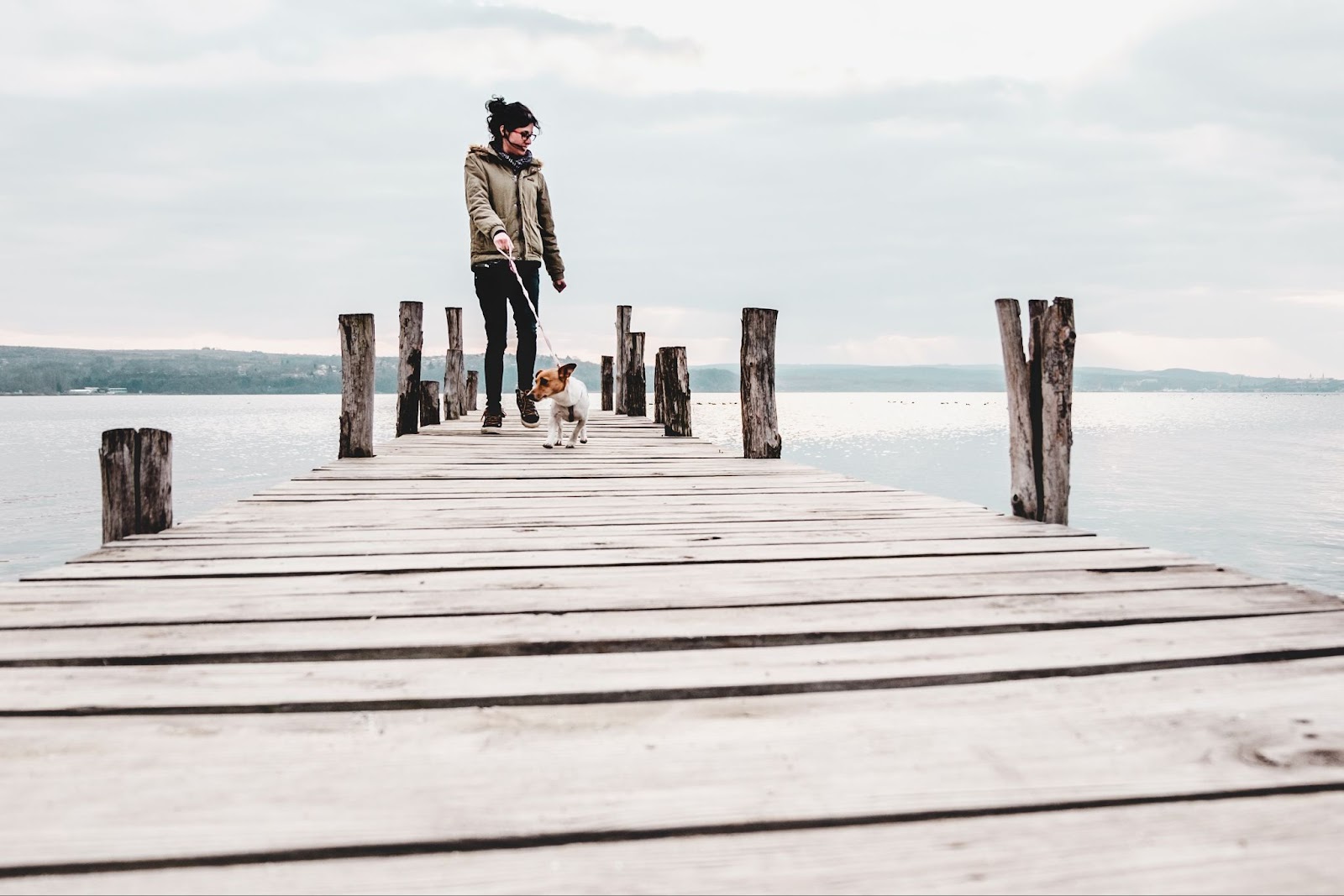 Dog and owner on a pier