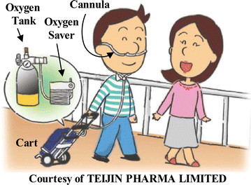 Home oxygen therapy (HOT) patients must use a set of oxygen equipment... |  Download Scientific Diagram