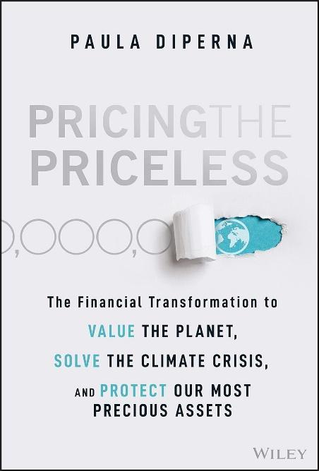 pricing the priceless book cover
