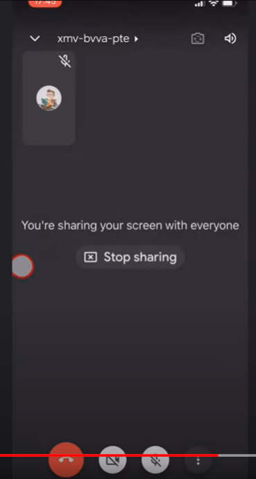 The following screen will appear when you are sharing a screen in the meeting