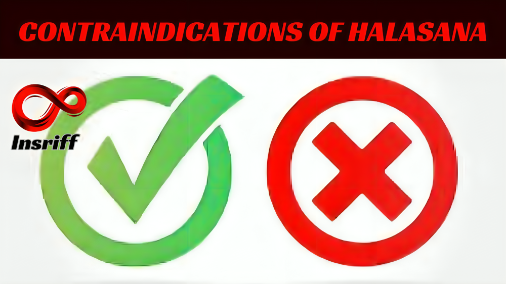 contraindications of halasana