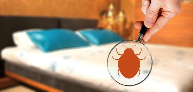 Photo hand with magnifying glass detecting bed bug