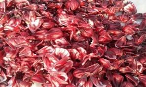 Image result for hibiscus dry