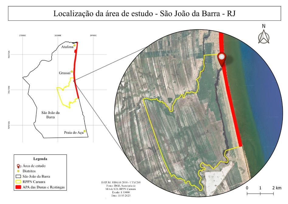 Gráfico, Gráfico de radar
Descrição gerada automaticamente